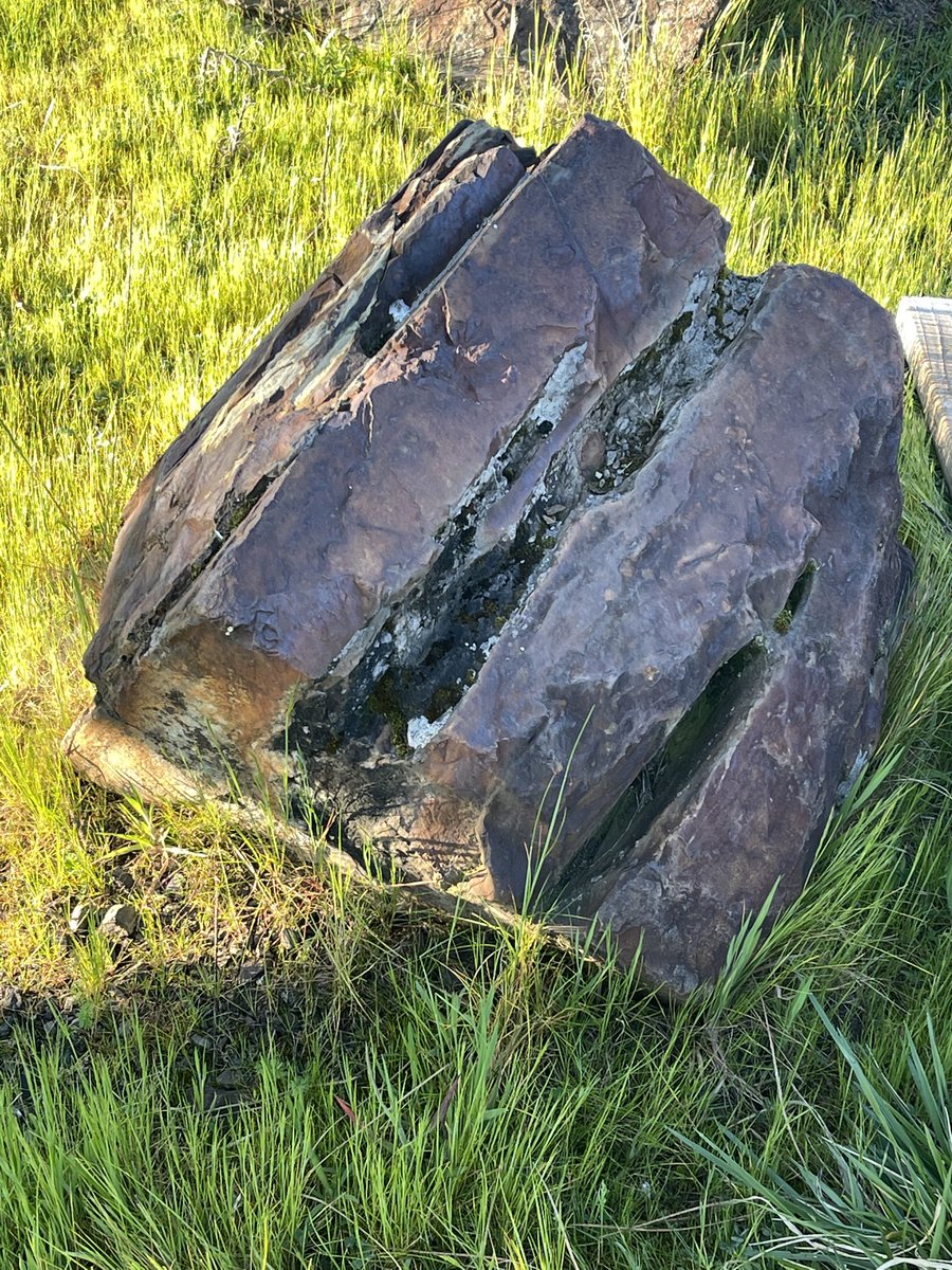 Seek I Am tweet media