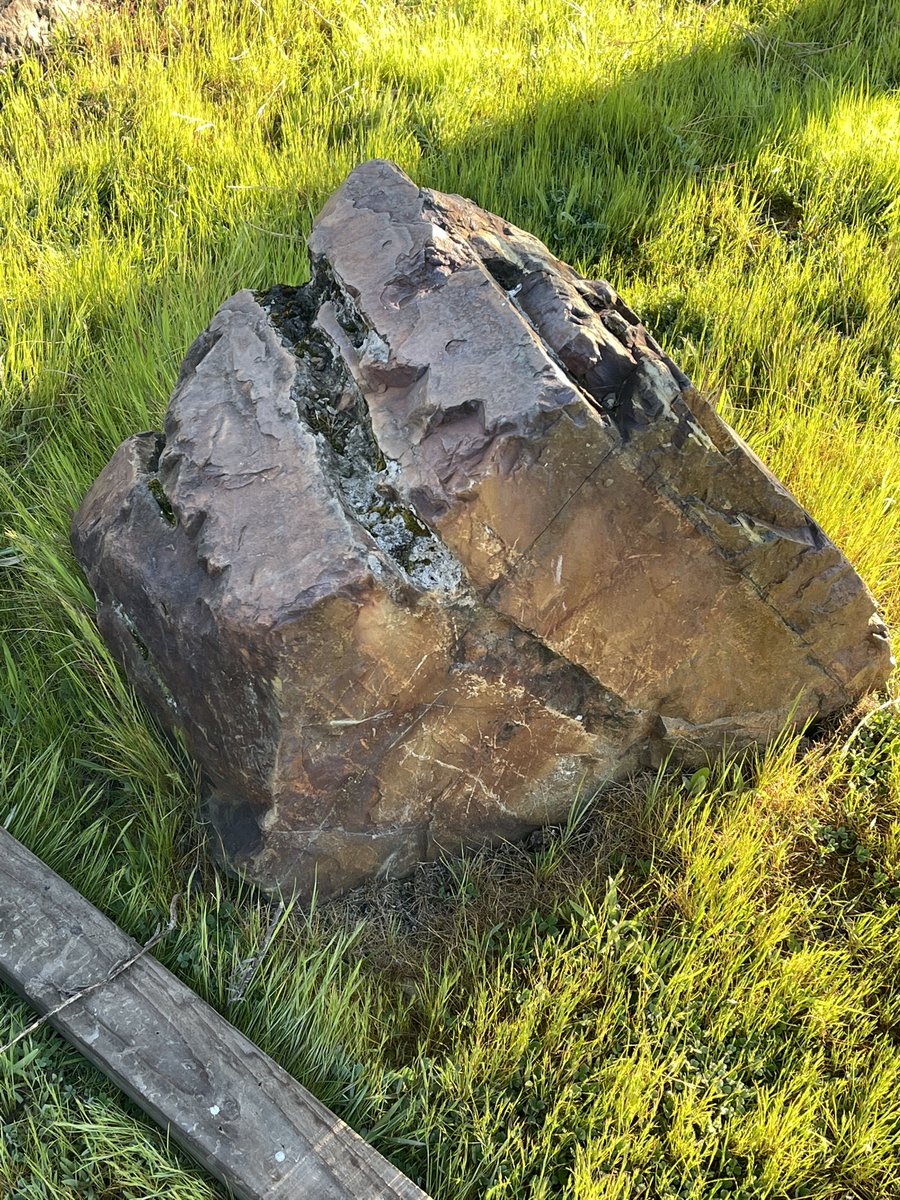 Seek I Am tweet media