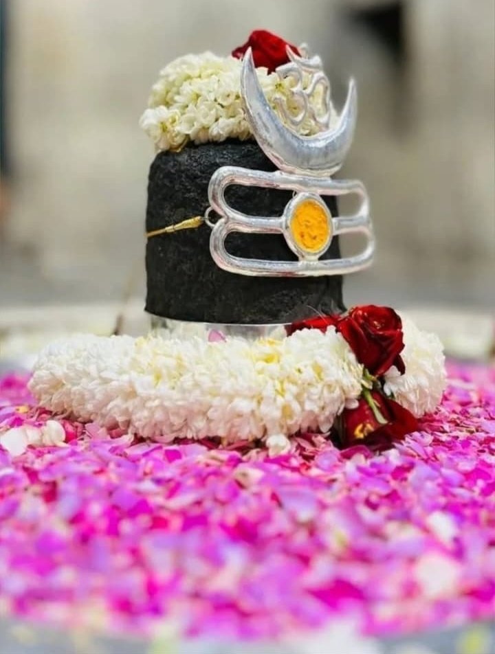 Minimee🥰 tweet media