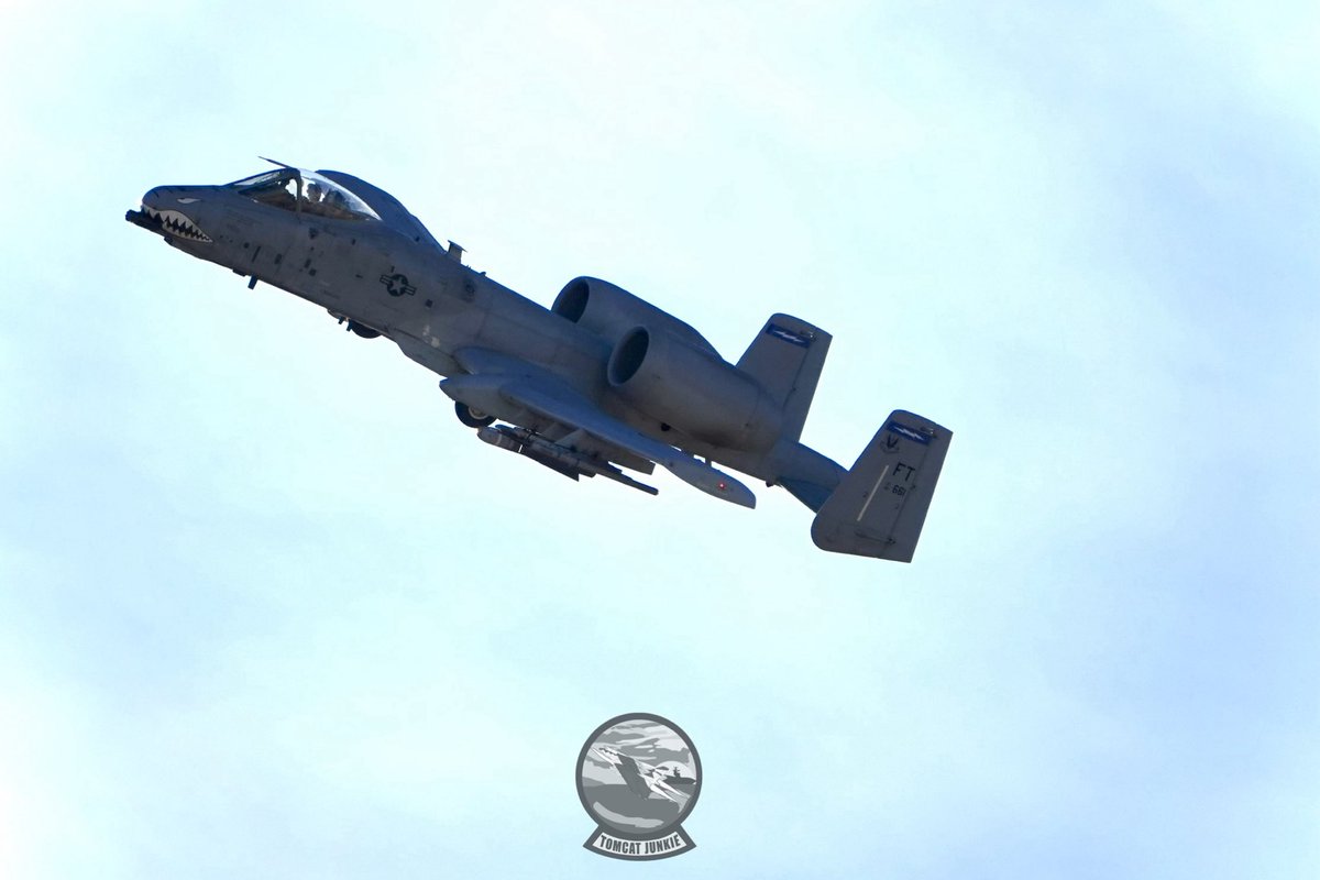 TomcatJunkie🏴‍☠️ tweet media