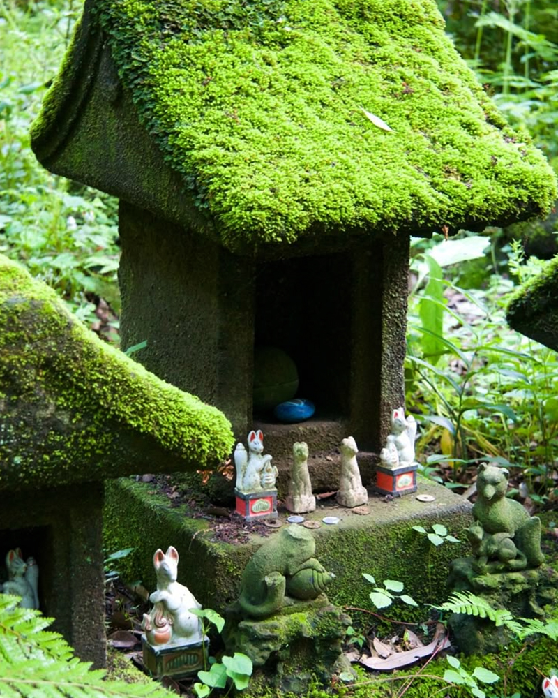 Yuzukimatcha's tweet photo. A quiet path, a moss-covered gate, and a moment to slow down 🌿

Just like this serene garden, a cup of matcha invites you to pause, breathe, and reconnect.

#Matcha #Japanesematcha
#Matchapowder #MatchaMoments #ZenVibes #JapaneseGarden #SlowLiving #GreenAesthetic #MatchaLovers https://t.co/wrLmAzQAWD