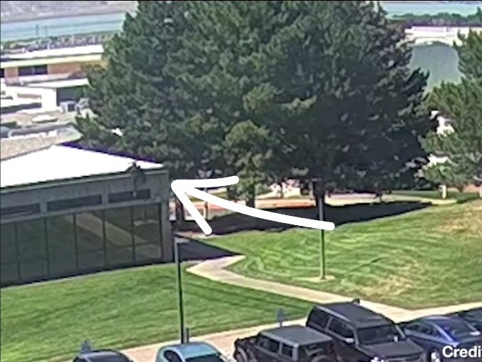 iAmaSamanana tweet media