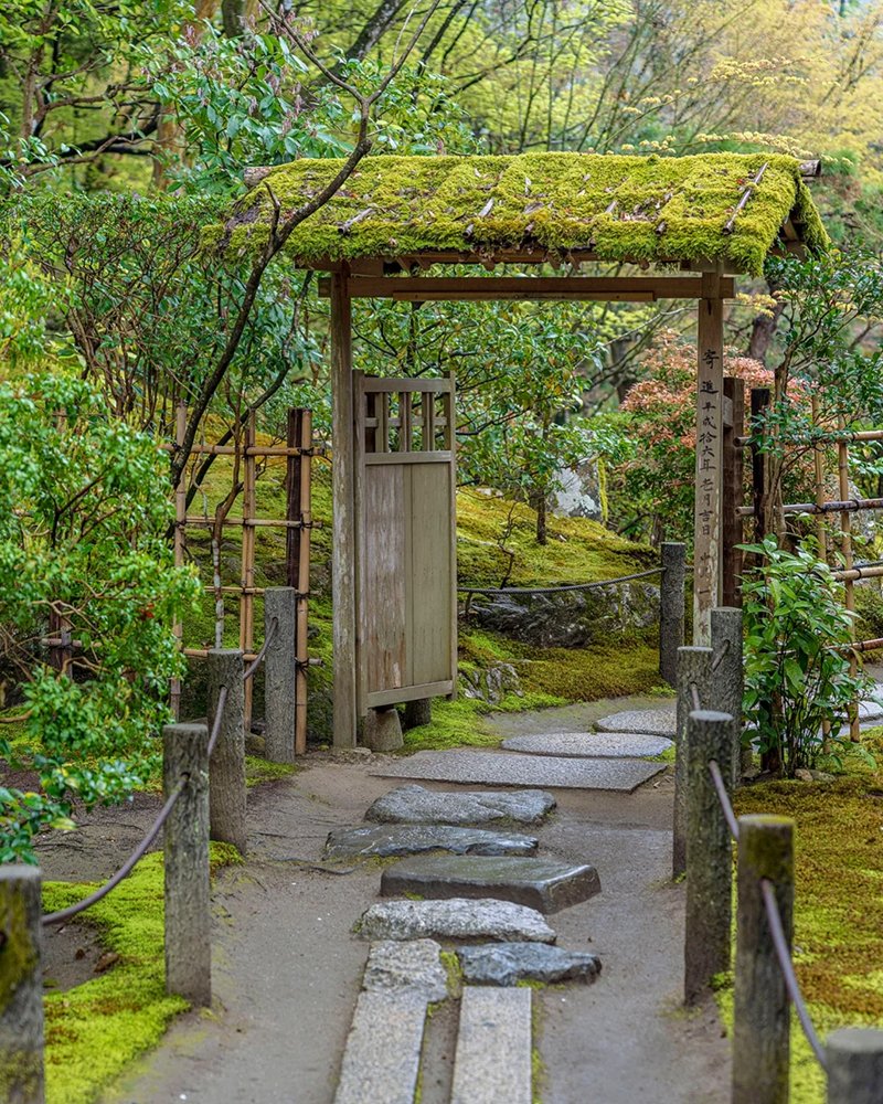 Yuzukimatcha's tweet photo. A quiet path, a moss-covered gate, and a moment to slow down 🌿

Just like this serene garden, a cup of matcha invites you to pause, breathe, and reconnect.

#Matcha #Japanesematcha
#Matchapowder #MatchaMoments #ZenVibes #JapaneseGarden #SlowLiving #GreenAesthetic #MatchaLovers https://t.co/wrLmAzQAWD