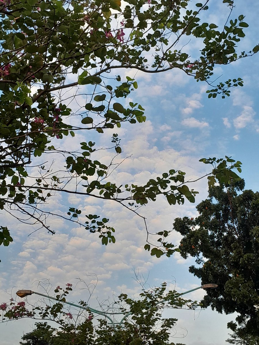 arrraa²⁷ pusing fisika🐐🏎️ tweet media