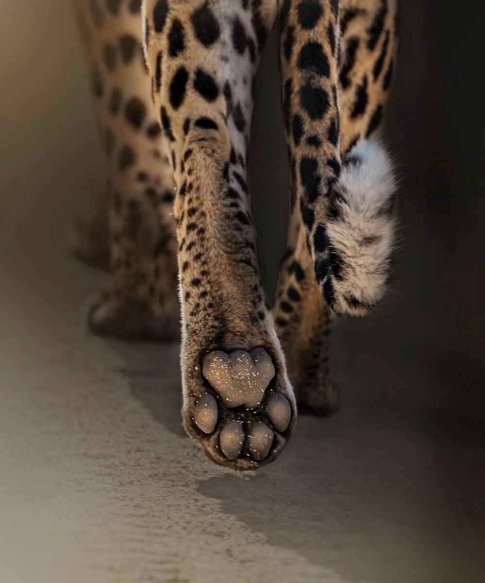 longlongago🌠 tweet media