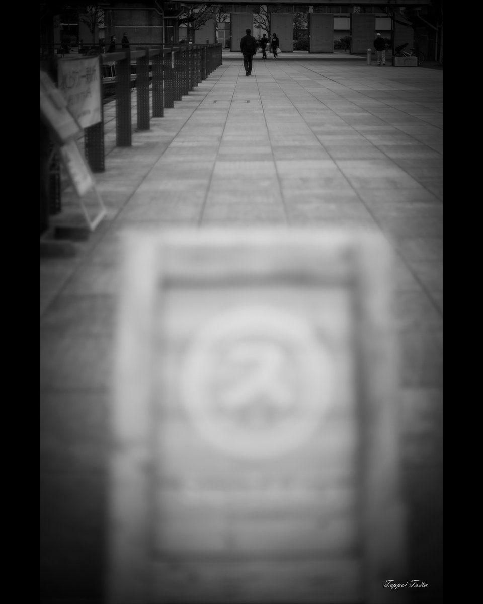 teppei_t_photo's tweet photo. ★ガソリン満タンにした夢を見ました
F1.1のボケを楽しんでいます✨
#うつ病でも撮る #社会不安障害でも撮る #吃音でも撮る #うつ病 #社会不安障害 #吃音 #dépression #depressionhelp #stuttering #anxietyrelief #横浜 #yokohama #nokton https://t.co/AkdCzUliFF