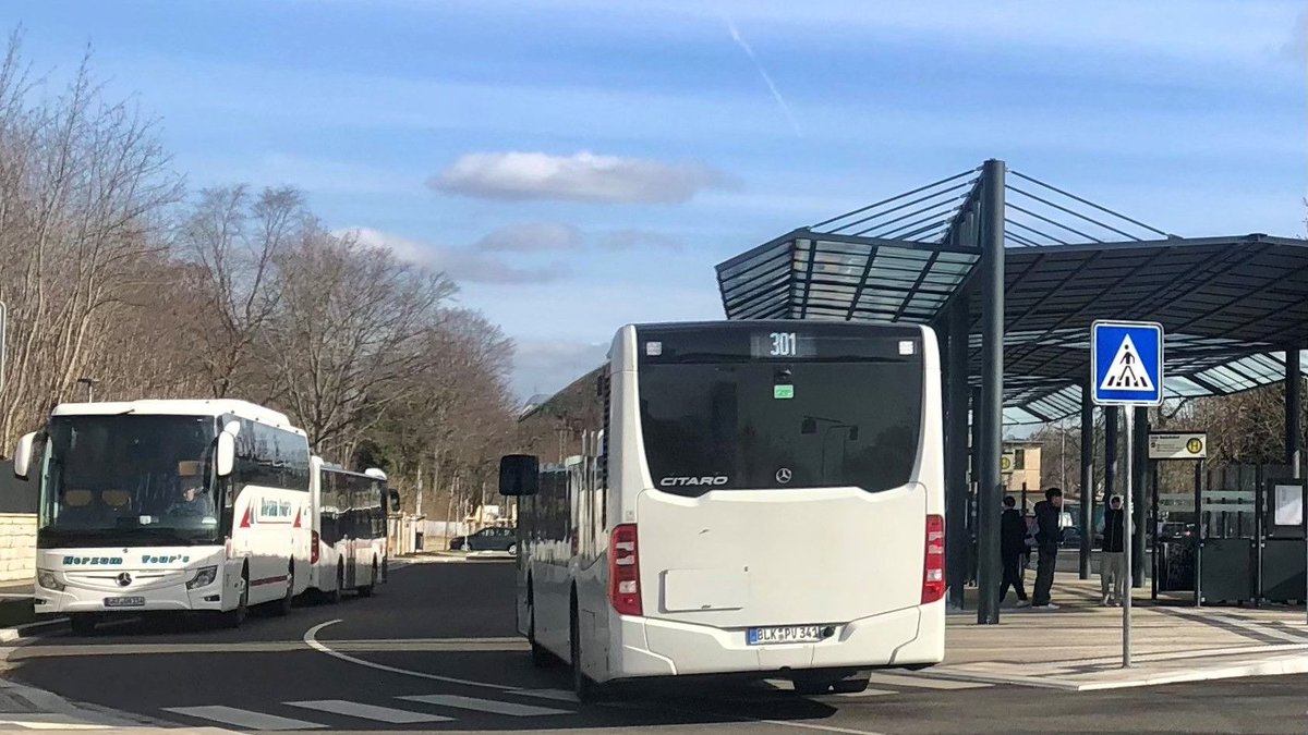 mz-web.de tweet media