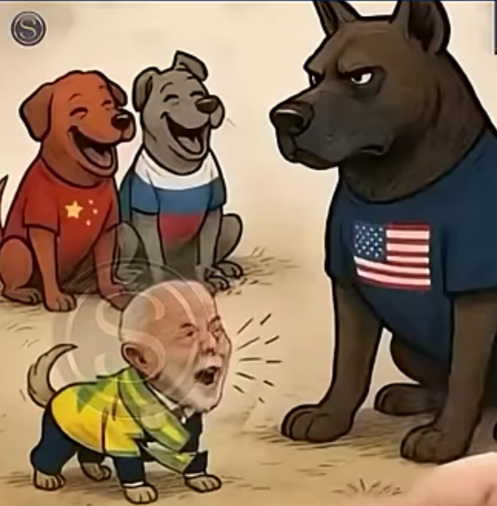 Sérgio Souza tweet media