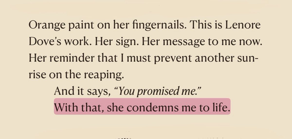 rari 𐙚 tweet media