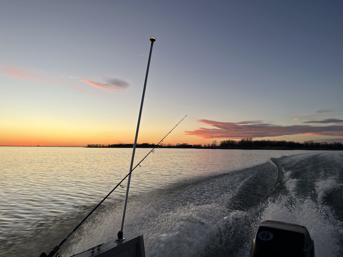 AJ’s Head and Shoulders Bottle🌾 tweet media