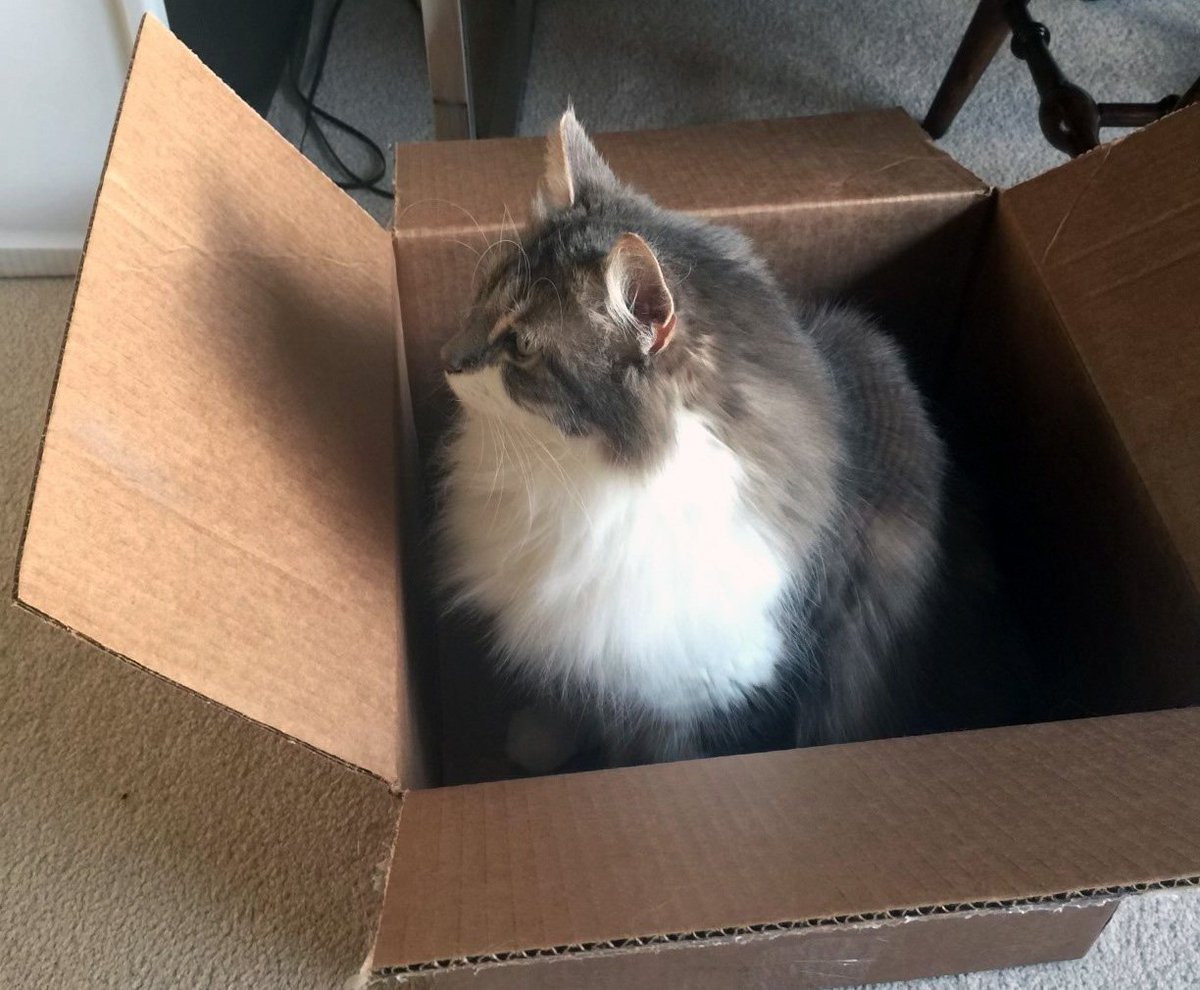 alasdair tweet media