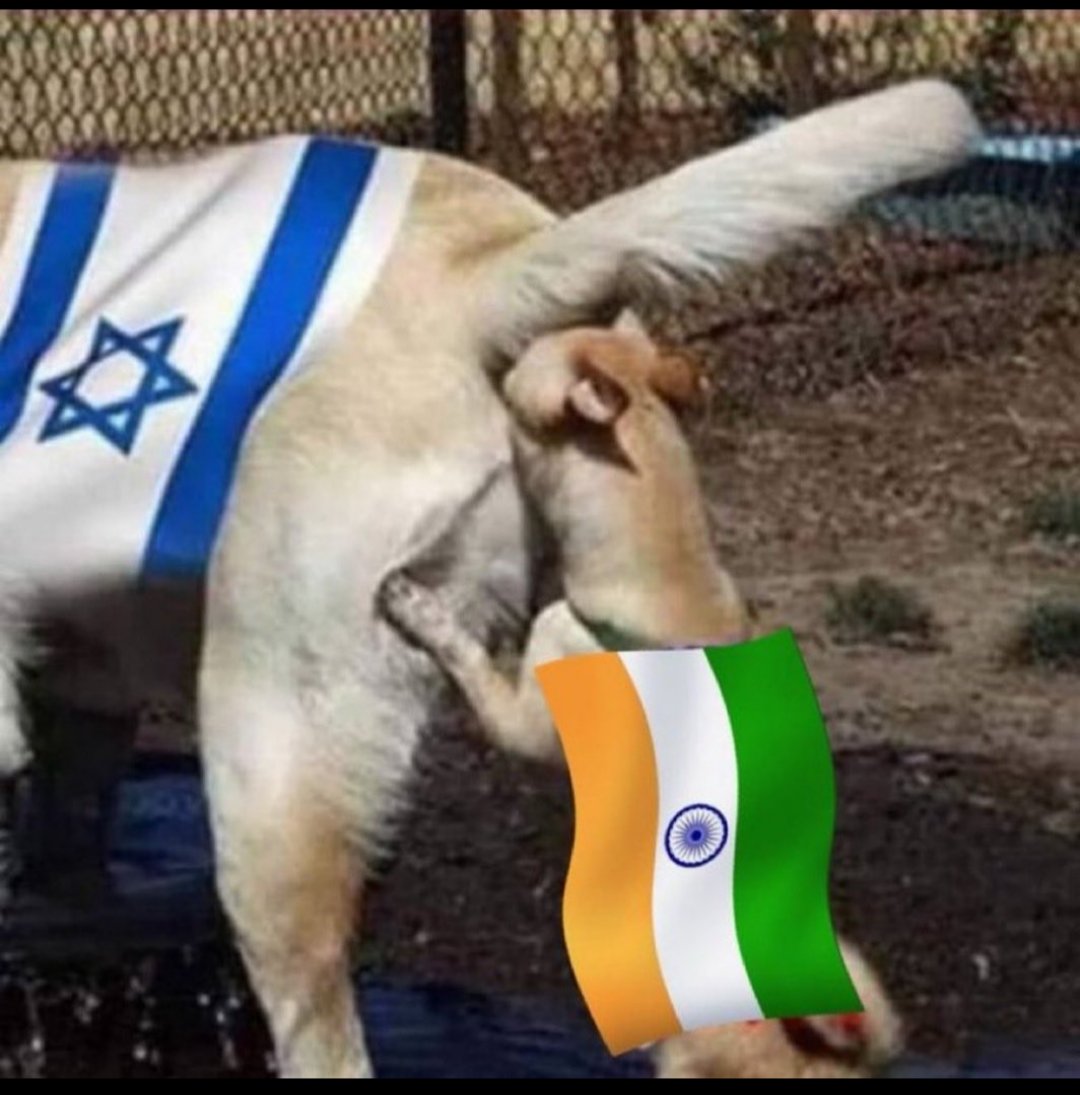 CLEAVE!'s Razor tweet media