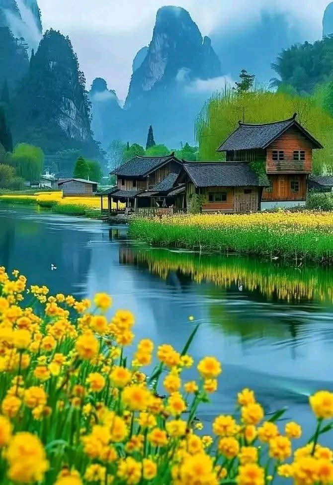 🔆 V 🔛 LOVE 🔆 tweet media