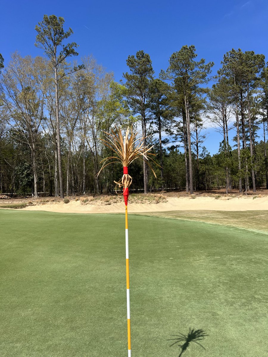 Snobby Scheffler tweet media