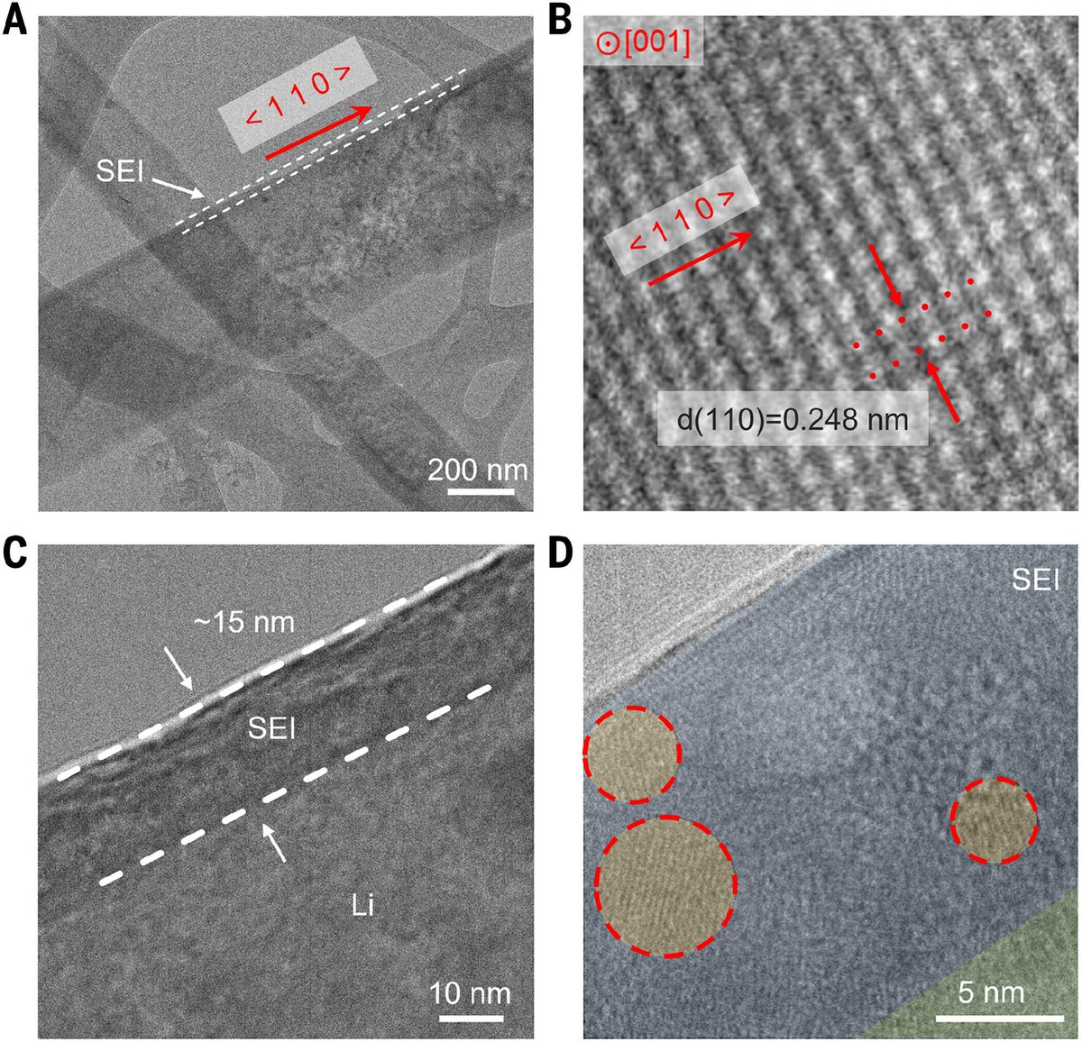 Science Magazine tweet media