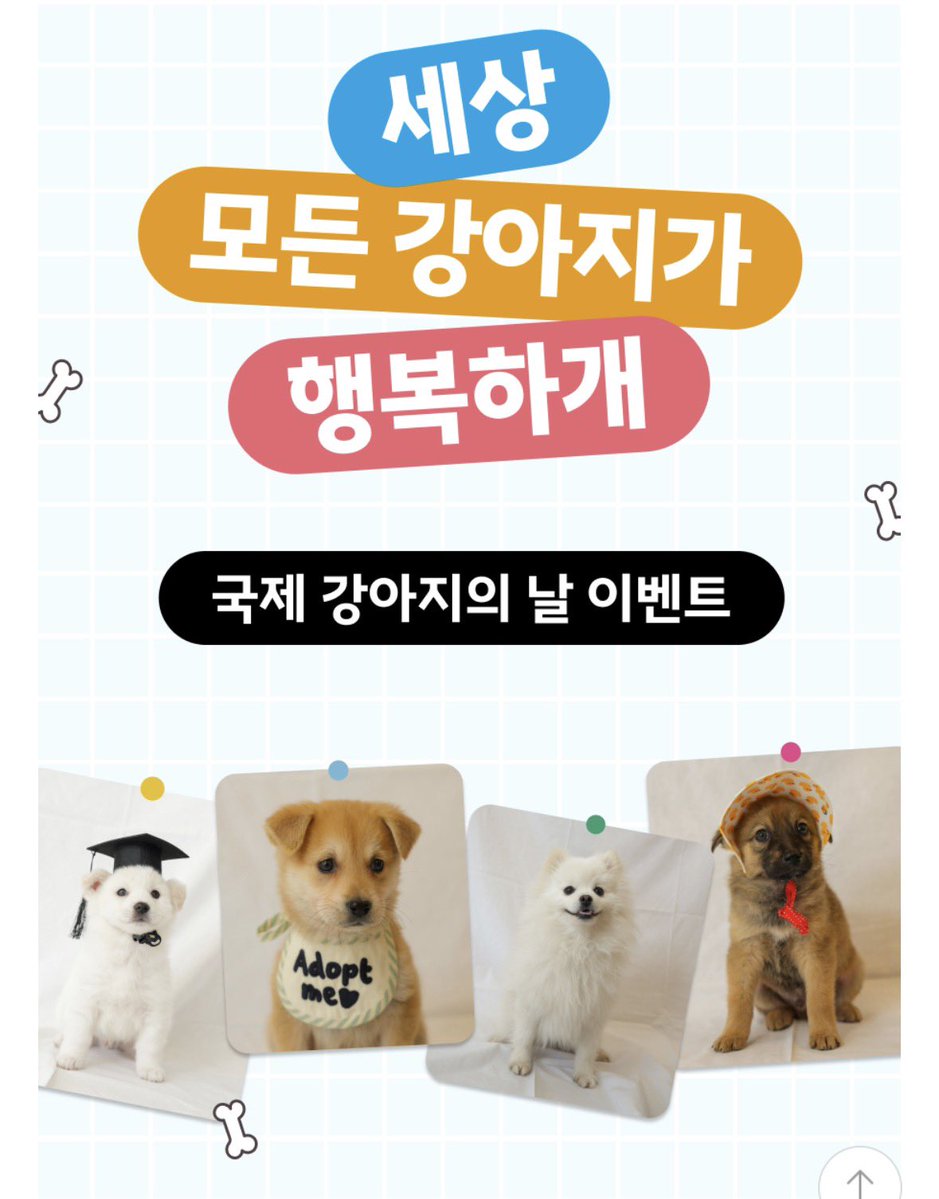 강보ㄹ| (메인트 RT 부탁합니다) tweet media