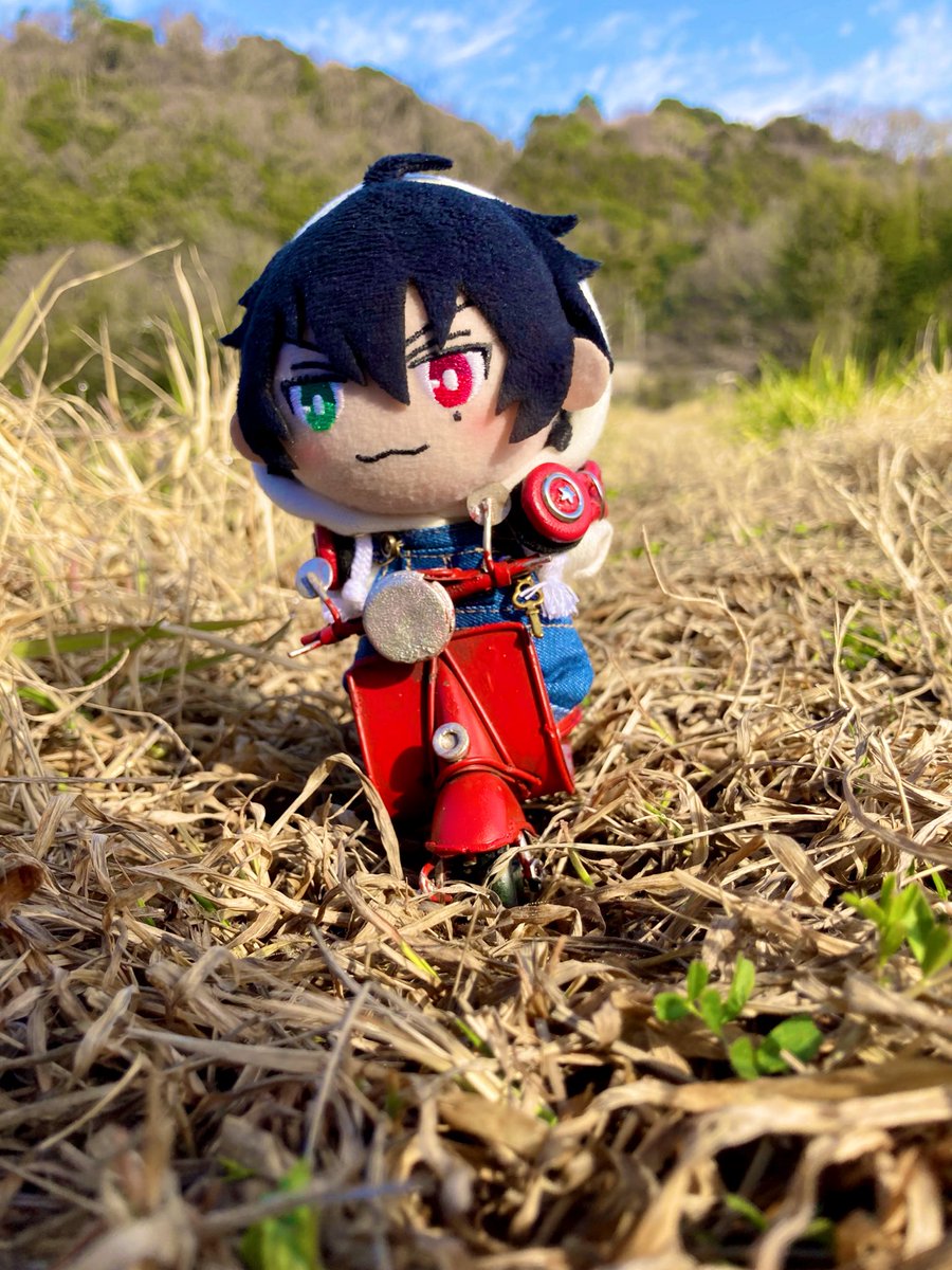 いそぐぬー！！🛵ｶﾞﾀｶﾞﾀ