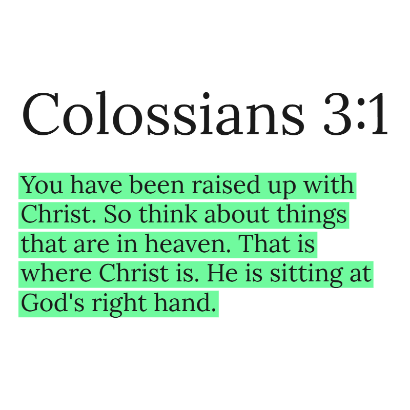 Holy Bible tweet media