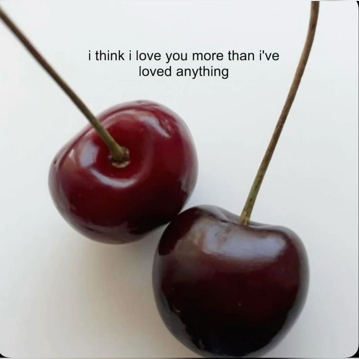 Empty💫 tweet media