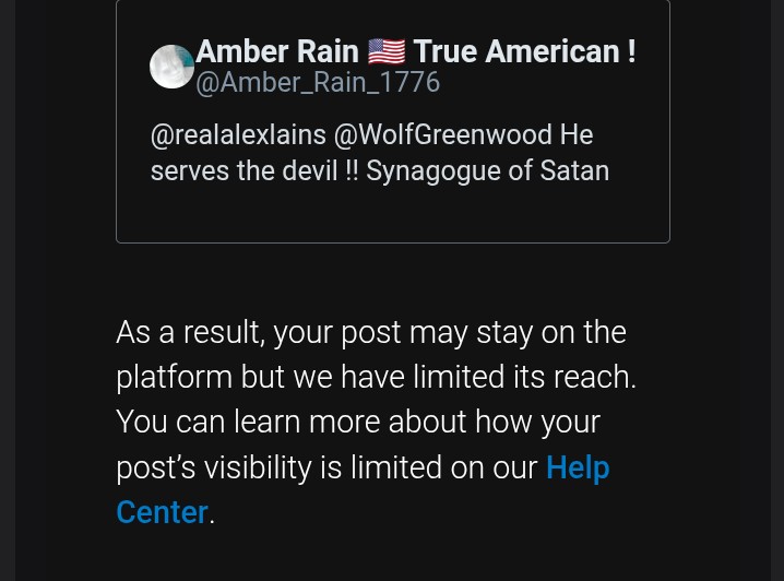 Amber Rain 🇺🇸 True American ! tweet media