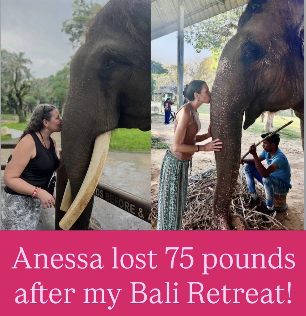 Maria Emmerich tweet media