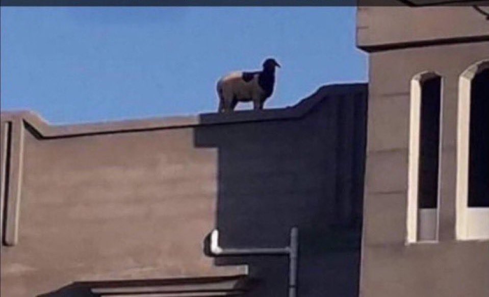 ENG . RAKAN tweet media