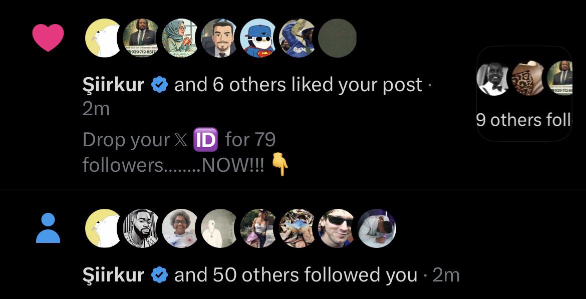 TÓLÀNI ✊🏿 tweet media