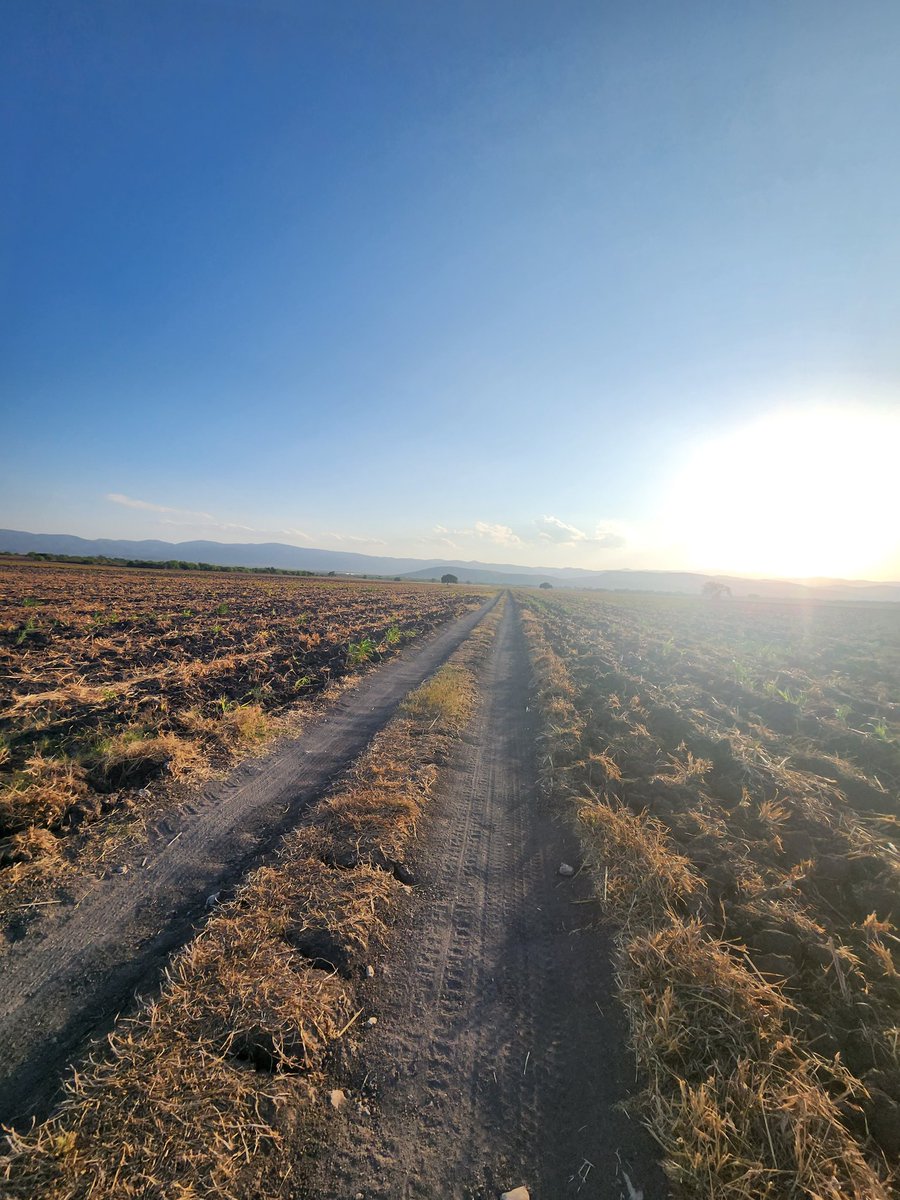 Martin Herrz tweet media