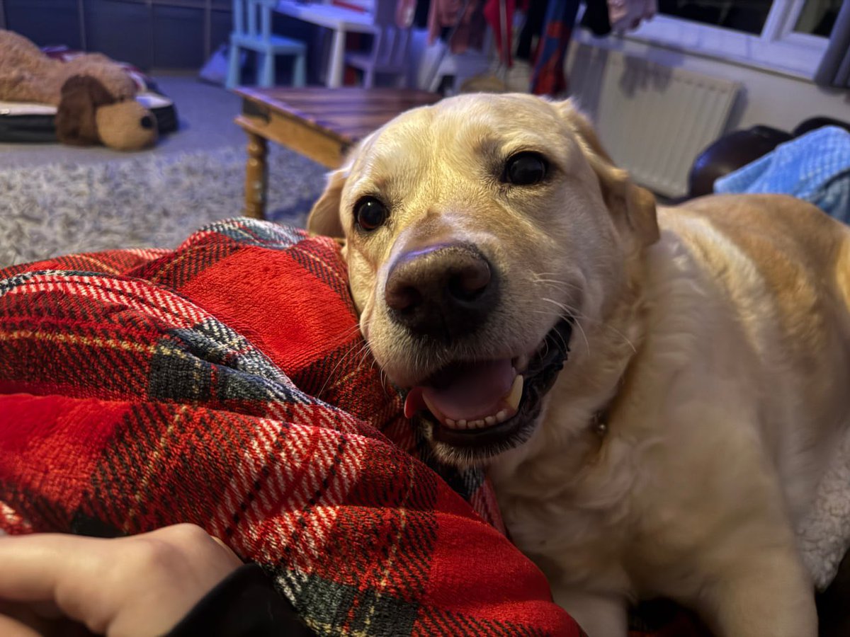 AnabelleBarnes_'s tweet photo. look at that cute smiley face 🥺 https://t.co/fWQPiW3gZ5
