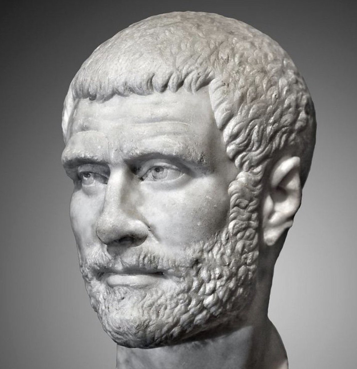 Michael McGill 🏛 tweet media