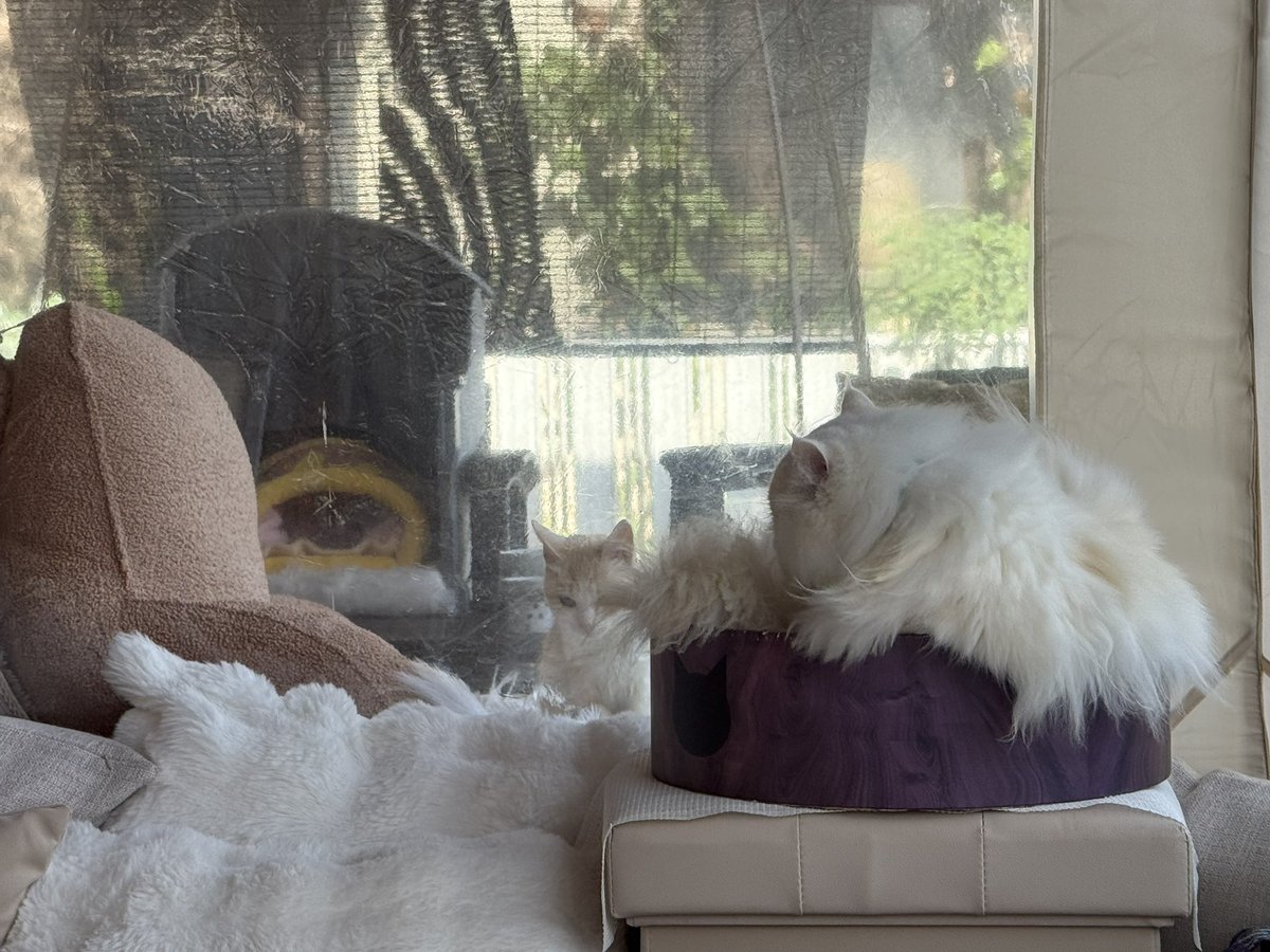 Macha_Zo tweet media