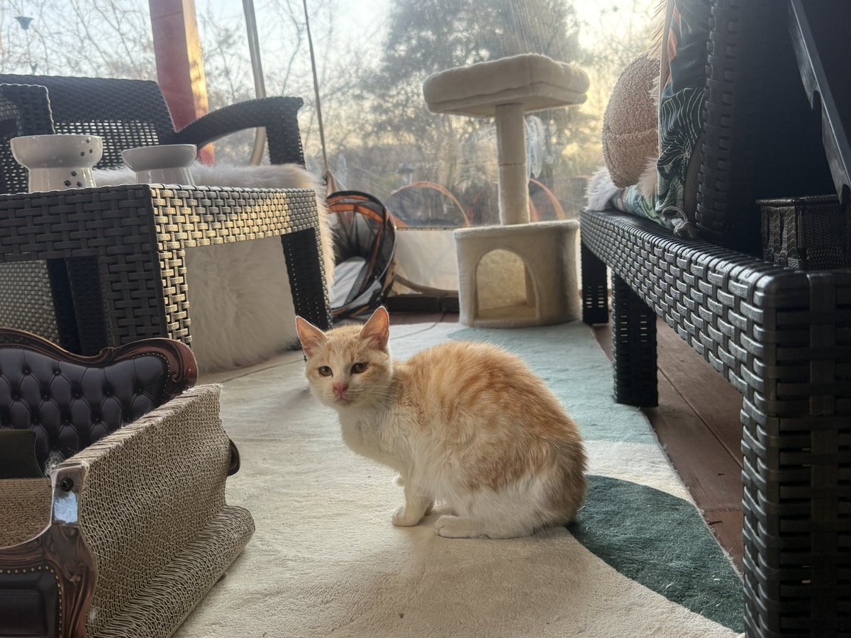 Macha_Zo tweet media