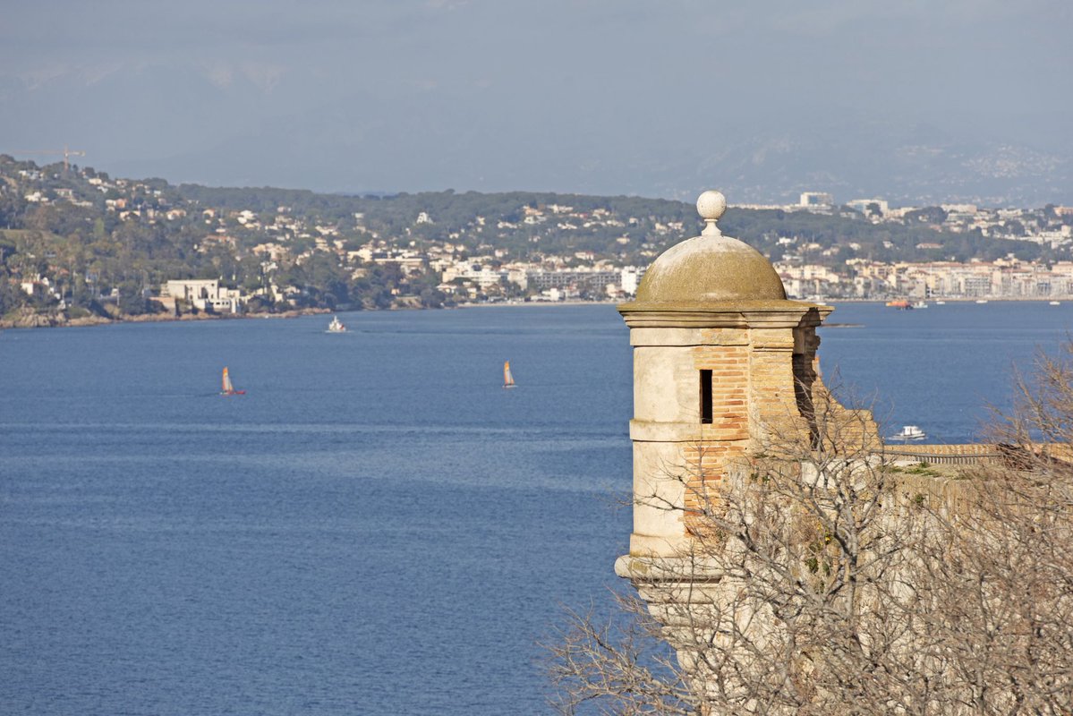 Brian Webb tweet media