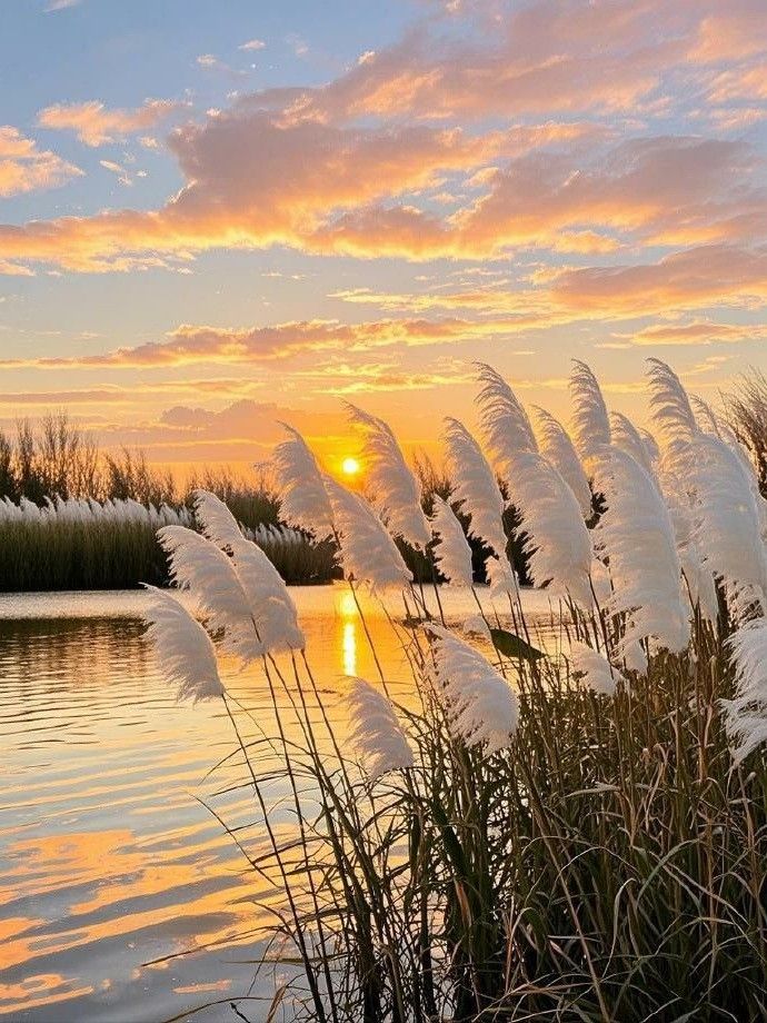 Intresting nature 🌿🪐 tweet media