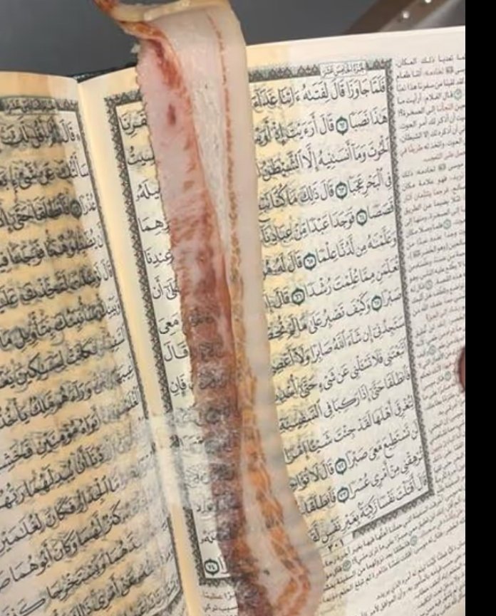 John Andrew tweet media