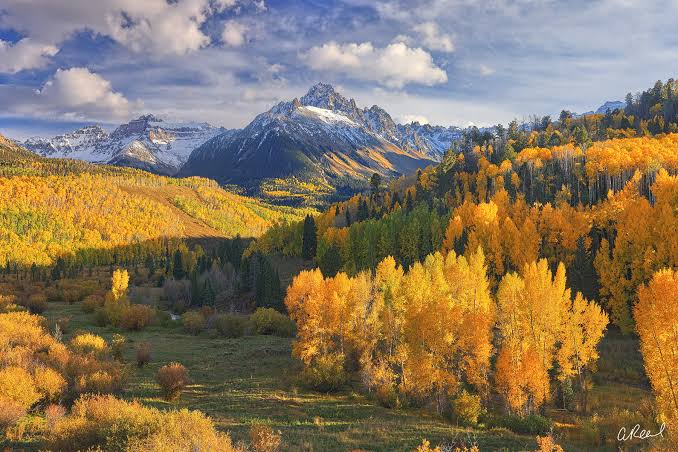 MYVOICE_111's tweet image. Stunning autumn vibes 🌰🍂 with golden aspen forests &amp;amp; snow‑capped peaks in the backdrop! Nature’s masterpiece in full fall glory. #Autumn #FallColors #MountainViews #Dhurandar2 #KHKlınınBayramı #altın #NaturePhotography #Aspen #Landscape #SeasonalBeauty