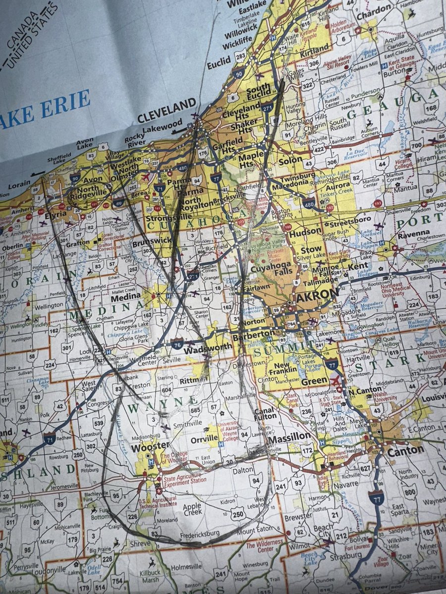 Natalie F Danelishen tweet media