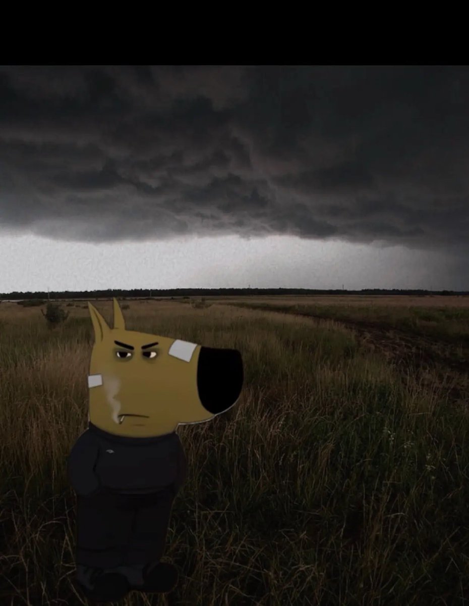 Saint Zaeus tweet media