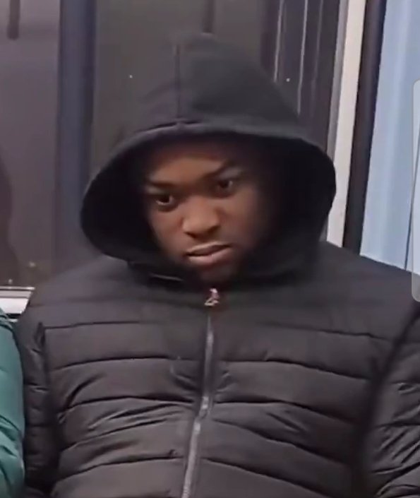 Overeducated Gibbon tweet media