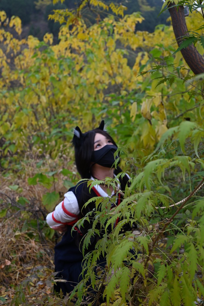 三叔影画集 tweet media