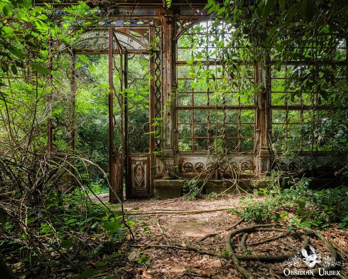 ObsidianUrbex's tweet image. 🌿 Steampunk Greenhouse, somewhere in Italy. Dense overgrowth shrouds the greenhouse; rusted brown ironwork. Vines twist up the iron, larger vines coil by the entrance. #Photography #Italy #Greenhouse