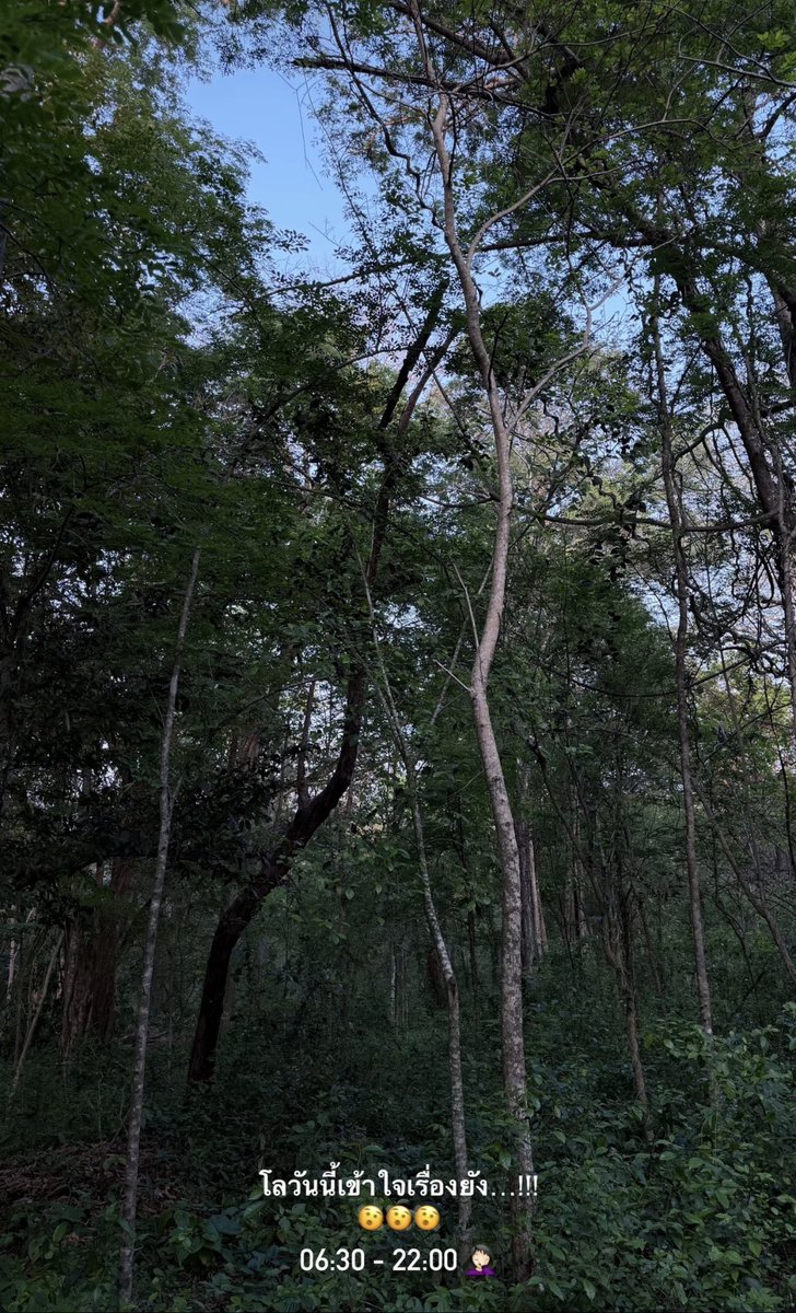 เป็นผู้ช่วยของลมบลู tweet media