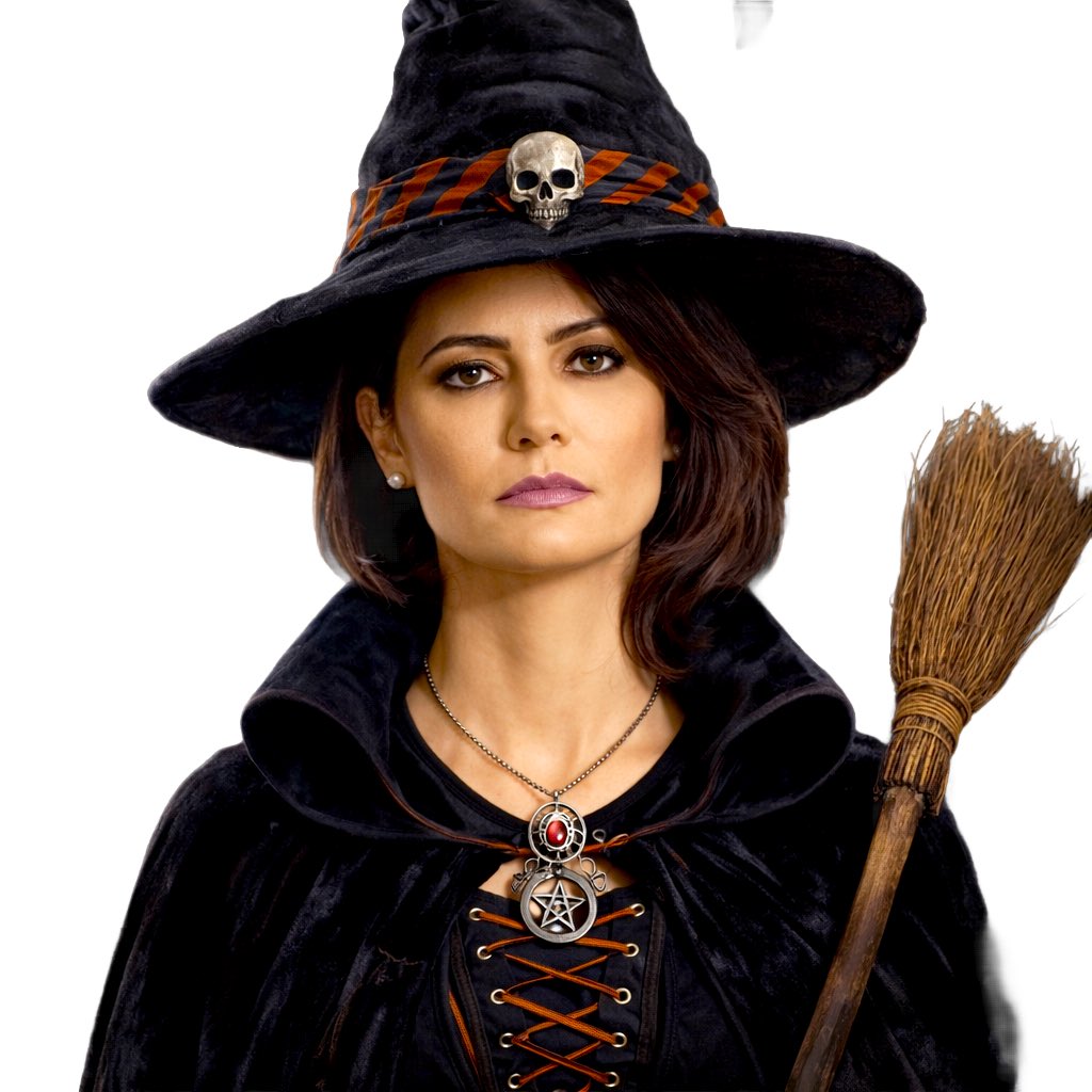 Sᴛᴜᴅɪᴏ MᴄCᴏʏ tweet media