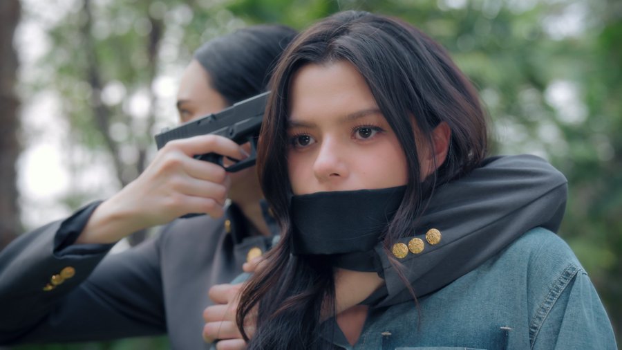 P'Cat ppp tweet media