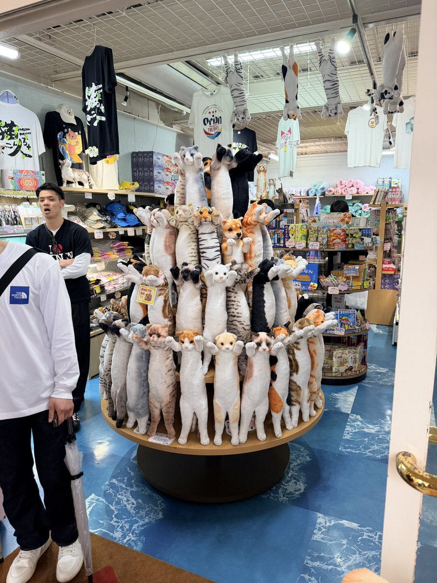 梅肉Mellow tweet media