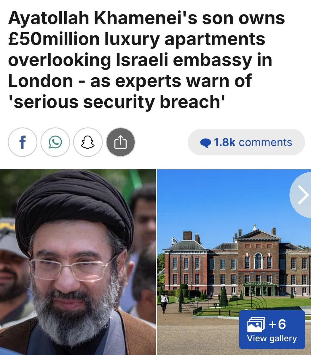 Alex Grand tweet media