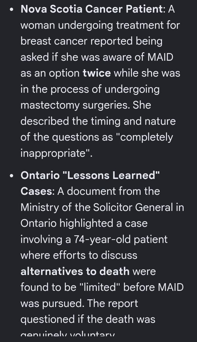 Giddy Bunny tweet media