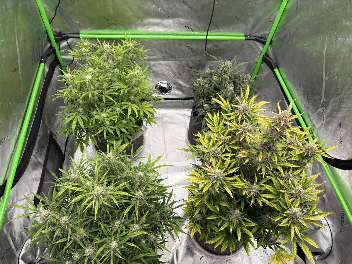 Ohio Grows Organic tweet media