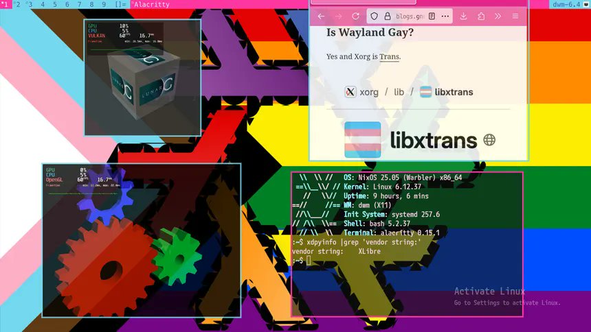 thisplatformsucks tweet media