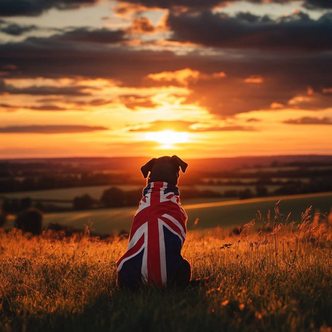 Miss Cryptonite tweet media